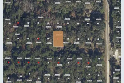 332 Laisy Drive, Georgetown, FL 32139 - Photo 1