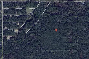 317 Tropical Dr, Georgetown, FL 32139 - Photo 1