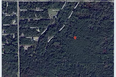 307 Tropical Drive, Georgetown, FL 32139 - Photo 2