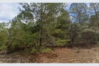 522 Janet Avenue, Interlachen, FL 32148 - Photo 1