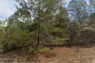 522 Janet Ave, Interlachen, FL 32148 - Photo 1