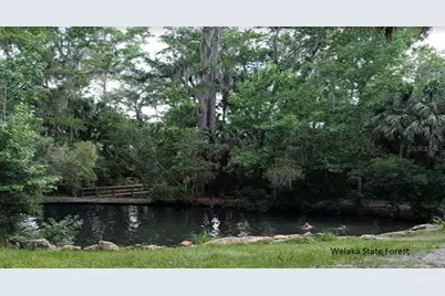 314 Neisman Avenue, Interlachen, FL 32148 - Photo 6