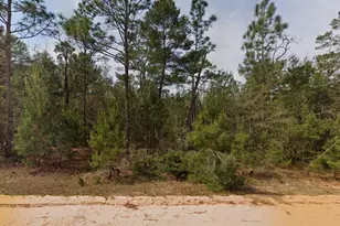 314 Neisman Ave, Interlachen, FL 32148 - Photo 1