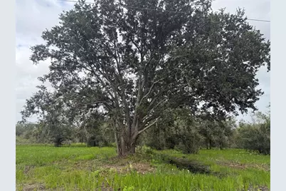 17915 NW 290th Street, Okeechobee, FL 34972 - Photo 16