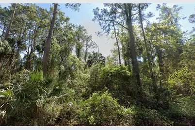 303 Siesta Drive, Georgetown, FL 32139 - Photo 1