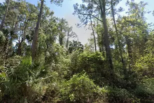 303 Siesta Dr, Georgetown, FL 32139 - Photo 1