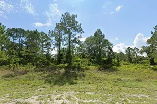 627 Columbus Blvd S, Lehigh Acres, FL 33974 - Photo 1