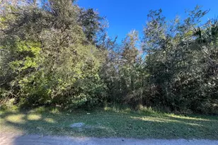 9667 S Lotus Point, Homosassa, FL 34448 - Photo 1