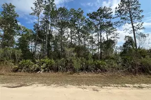 206 Royal Ave, Interlachen, FL 32148 - Photo 1