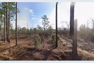 116 Tulip Avenue, Interlachen, FL 32148 - Photo 1