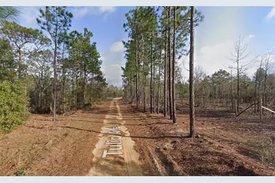 116 Tulip Avenue, Interlachen, FL 32148 - Photo 2