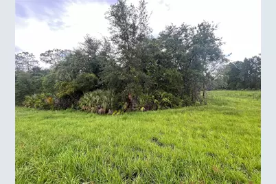 6883 St Johns Avenue, Palatka, FL 32177 - Photo 4