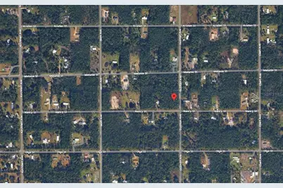 4300 Nancy Street, Hastings, FL 32145 - Photo 4
