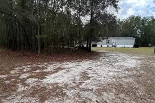 589 SW Cumorah Hill St, Fort White, FL 32038 - Photo 4