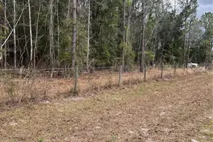 589 SW Cumorah Hill St, Fort White, FL 32038 - Photo 1