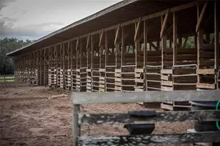 32801 Hwy 441 N, Okeechobee, FL 34972 - Photo 70