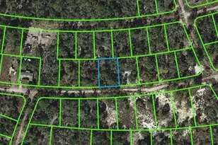 368 Hossler Ave, Lake Placid, FL 33852 - Photo 1