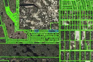 220 Rolling Hills Dr, Lake Placid, FL 33852 - Photo 1