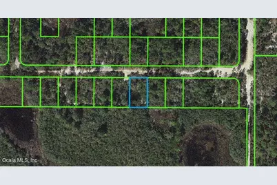 325 Claverton Drive, Lake Placid, FL 33852 - Photo 1