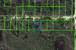 325 Claverton Dr, Lake Placid, FL 33852 - Photo 1