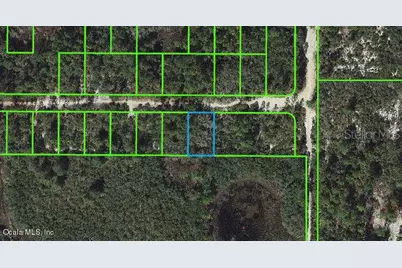 333 Claverton Drive, Lake Placid, FL 33852 - Photo 1