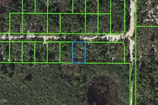 333 Claverton Dr, Lake Placid, FL 33852 - Photo 1