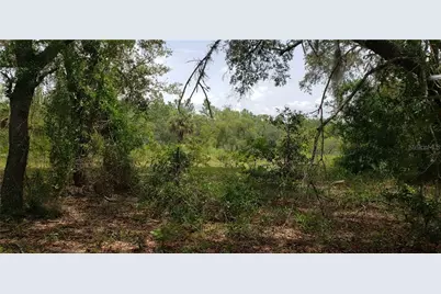 Lot 11 NE Alt Hwy 27, Williston, FL 32696 - Photo 2