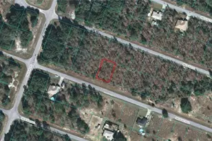 00 Malauka Radial, Ocklawaha, FL 32179 - Photo 1
