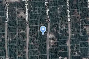 256 Sunflower Ave, Lake Placid, FL 33852 - Photo 1