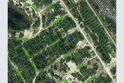 455 Apple Blossom Court, Lake Placid, FL 33852 - Photo 1