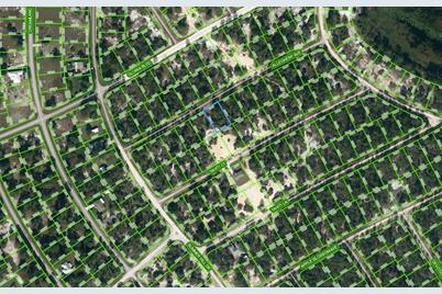 411 Allegheny Avenue, Lake Placid, FL 33852 - Photo 1