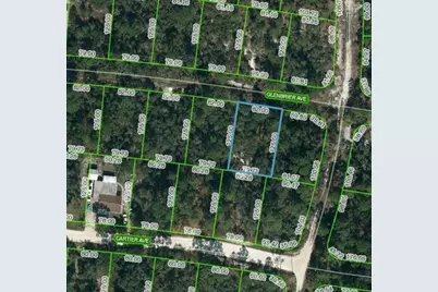341 Glenbrier Avenue, Lake Placid, FL 33852 - Photo 1