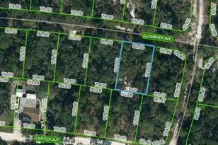 341 Glenbrier Ave, Lake Placid, FL 33852 - Photo 1