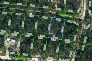 341 Glenbrier Ave, Lake Placid, FL 33852 - Photo 1