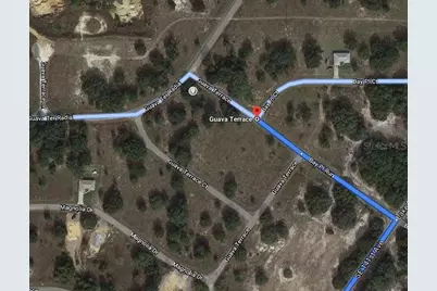 Guava Terrace, Ocklawaha, FL 32179 - Photo 2