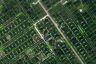 557 Pershing Ave, Lake Placid, FL 33852 - Photo 1