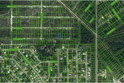 590 Tennessee Avenue, Lake Placid, FL 33852 - Photo 1