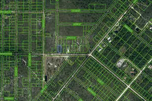 769 Washington Blvd, Lake Placid, FL 33852 - Photo 1