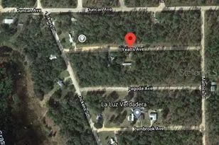 00 Yeatts Ave, Interlachen, FL 32148 - Photo 1