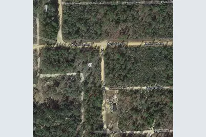 00 Kay Street, Interlachen, FL 32148 - Photo 2