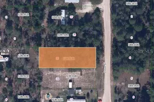 00 Dave St, Interlachen, FL 32148 - Photo 1