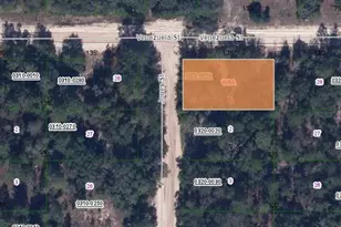 00 Jones St, Interlachen, FL 32148 - Photo 1