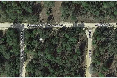 00 Jones Street, Interlachen, FL 32148 - Photo 2