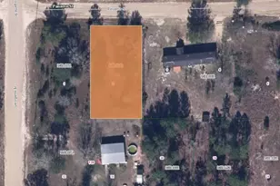 Panama St, Interlachen, FL 32148 - Photo 1