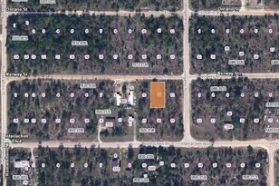 203 Norway St, Interlachen, FL 32148 - Photo 1