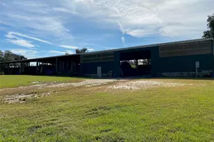 19350 NW 123rd Ct, Micanopy, FL 32667 - Photo 42