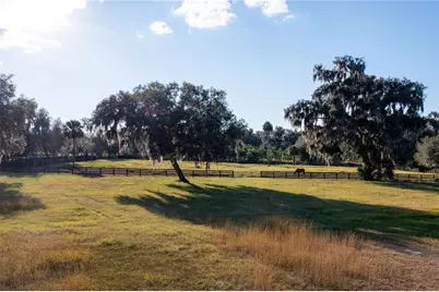 19350 NW 123rd Court, Micanopy, FL 32667 - Photo 50