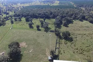 19350 NW 123rd Ct, Micanopy, FL 32667 - Photo 32