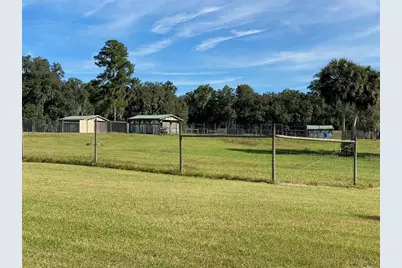 19350 NW 123rd Court, Micanopy, FL 32667 - Photo 36