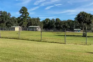 19350 NW 123rd Ct, Micanopy, FL 32667 - Photo 36
